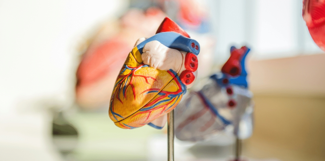 Cardiology’s Journey: Past Discoveries and Future Innovations