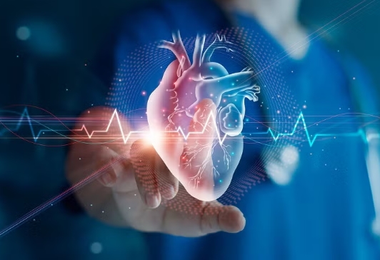 Dr. Peter Rentrop MD Discusses Cardiovascular Innovations: A Heartbeat of Progress